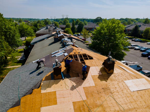 Roof Gutter Cleaning in Sanford, NC
